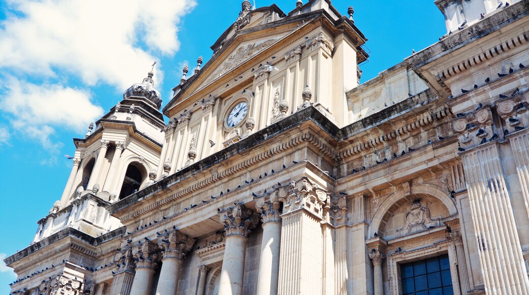 Catedral Metropolitana