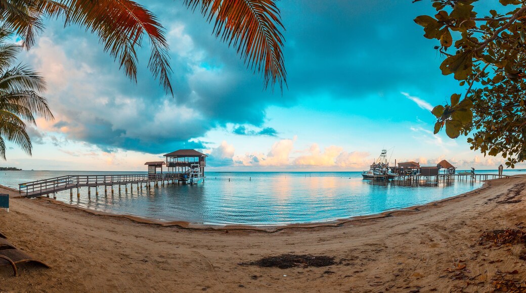 Bãi biển Sandy Bay