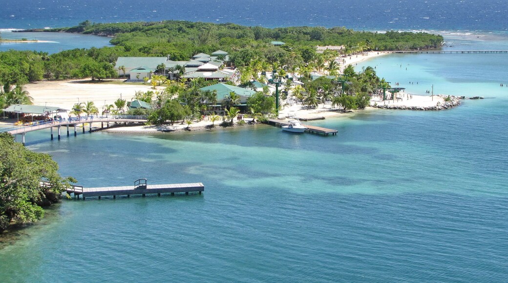 Strand von Mahogany