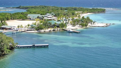 Mahogany Bay, Isla Roatan, Honduras