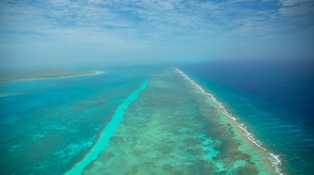 Belize qui includes vues littorales et corail