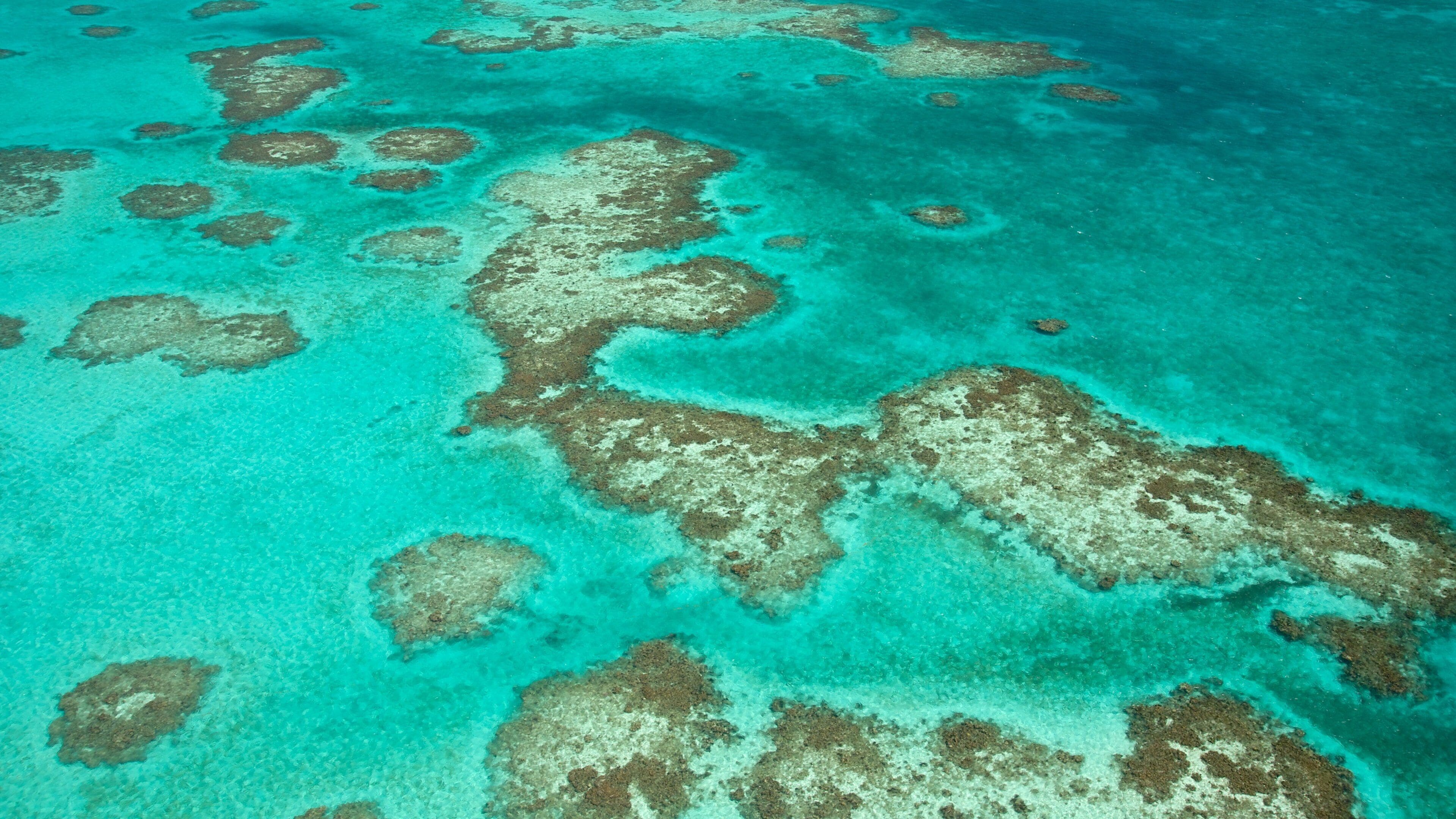 The Great Blue Hole at Lighthouse Reef featuring colorful reefs
