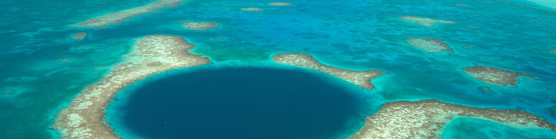 Belice mostrando arrecifes coloridos