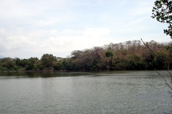 Caption---- Charco Verde Ometepe Island in Nicaragua