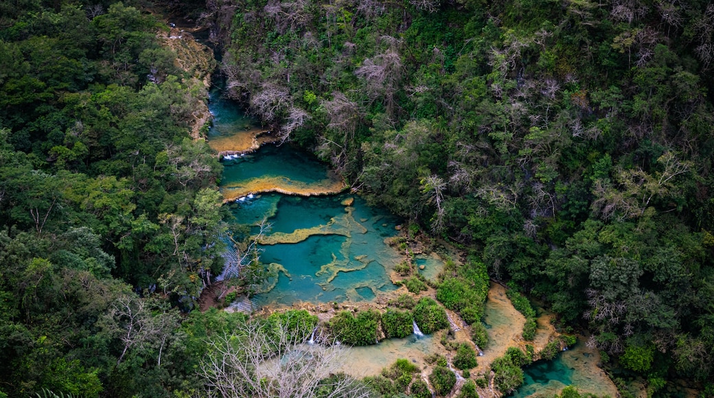Semuc Champey, limestone pools on River Cahabon in the department of Alta Verapaz, Guatemala.