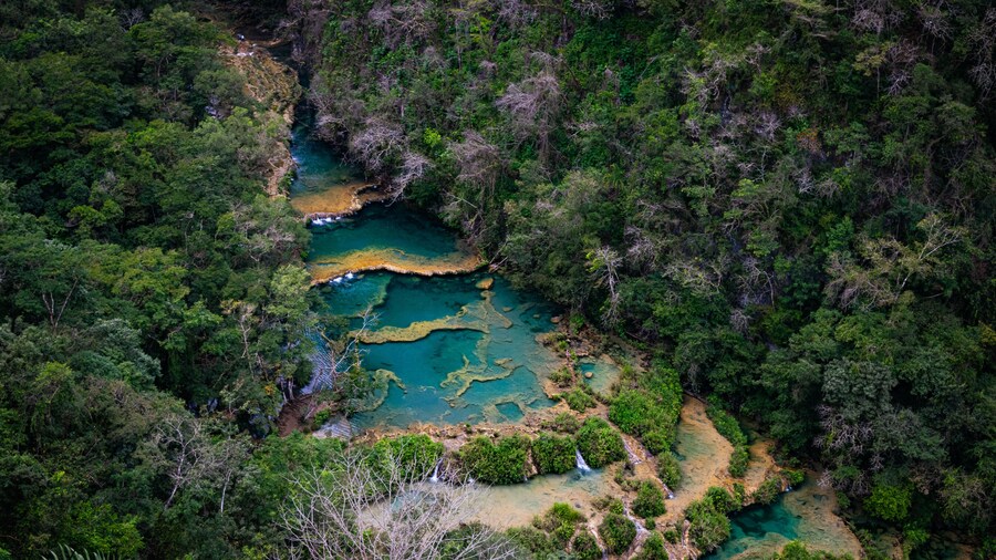 Semuc Champey, limestone pools on River Cahabon in the department of Alta Verapaz, Guatemala.