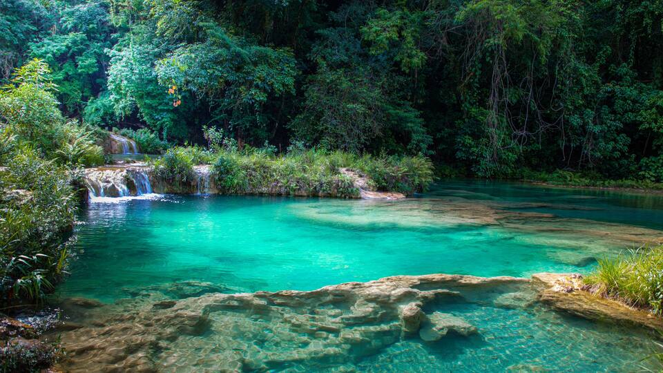 A clear turquoise river with a waterfall, surrounded by dense green forest.