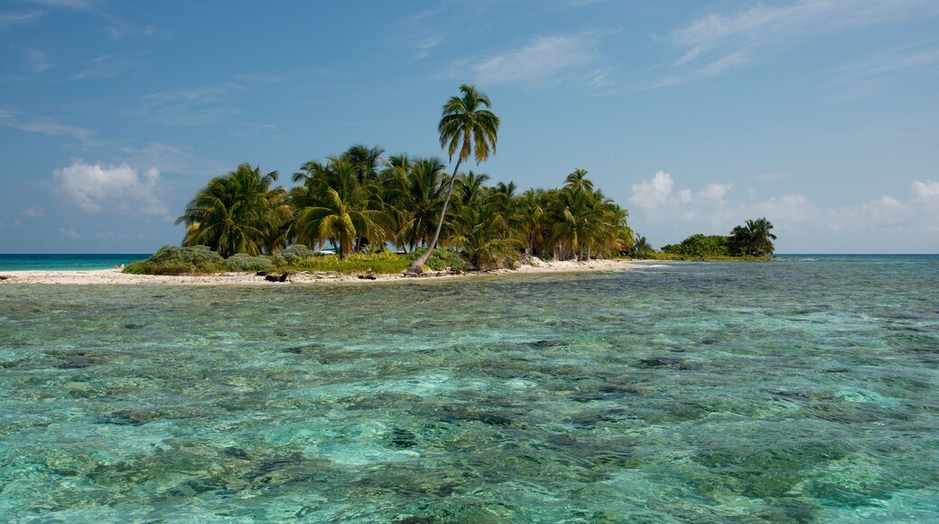 Belize, Caribbean Sea, Stann Creek District near Placencia. Laughing Bird Caye National Park located on the Belize Barrier Reef.