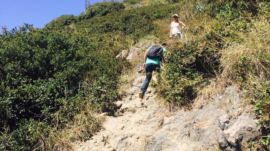 Climbing the volcano. This is toward the bottom. A long way to go, but worth it at the top
