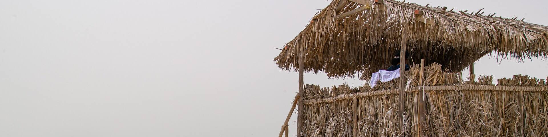 Al Dar Island showing general coastal views, tropical scenes and a sandy beach