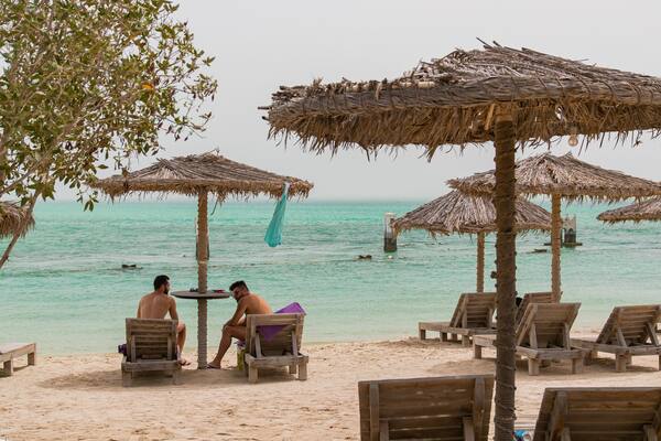 Al Dar Island which includes a beach, general coastal views and tropical scenes