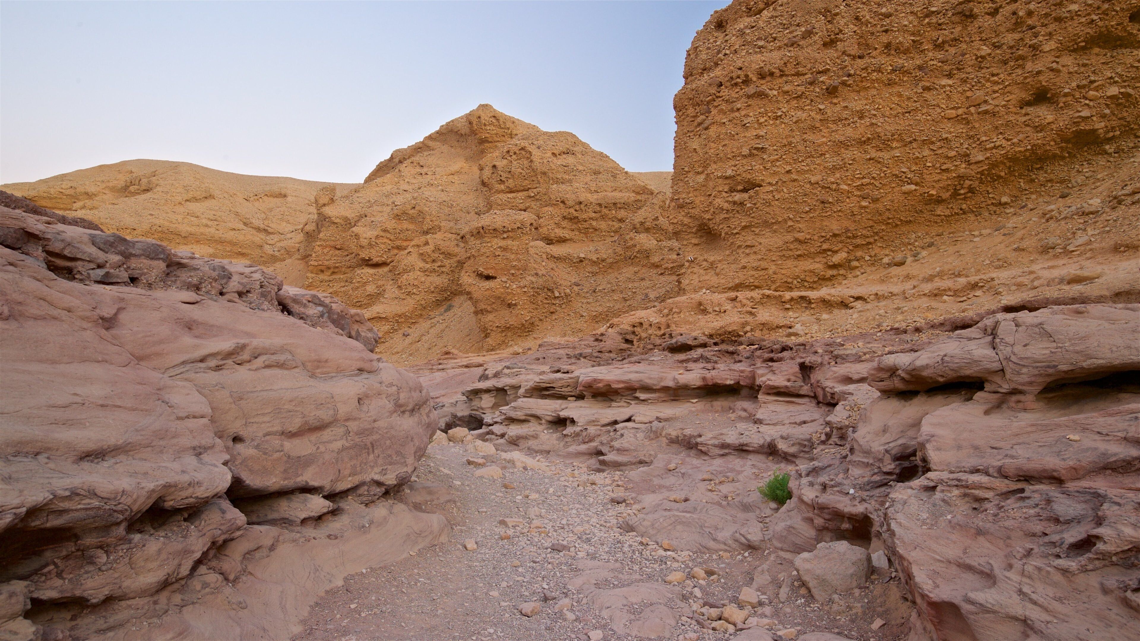 Red Canyon welches beinhaltet Wüstenblick