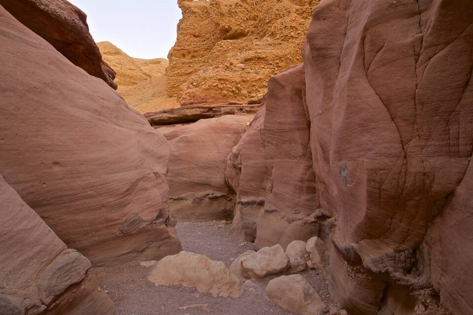 Un canyon étroit aux parois rocheuses de couleur rouge-brun, sous un ciel dégagé.