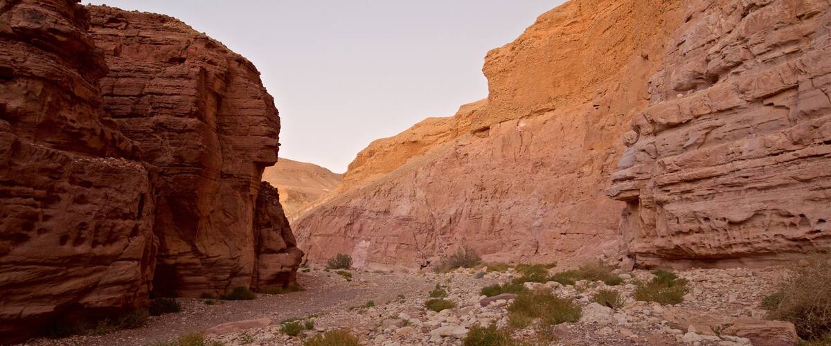 Red Canyon showing desert views and a gorge or canyon