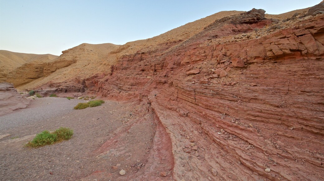 Red Canyon showing desert views