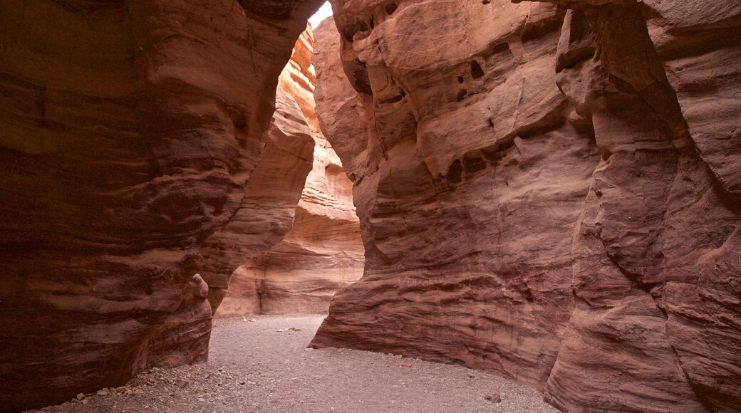 Red Canyon featuring a gorge or canyon