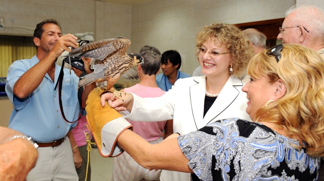Emirato di Abu Dhabi mostrando volatili e vista interna cosi come un piccolo gruppo di persone