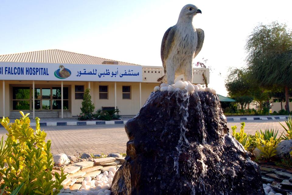 Abu Dhabi Falcon Hospital with a falcon statue on a rock.