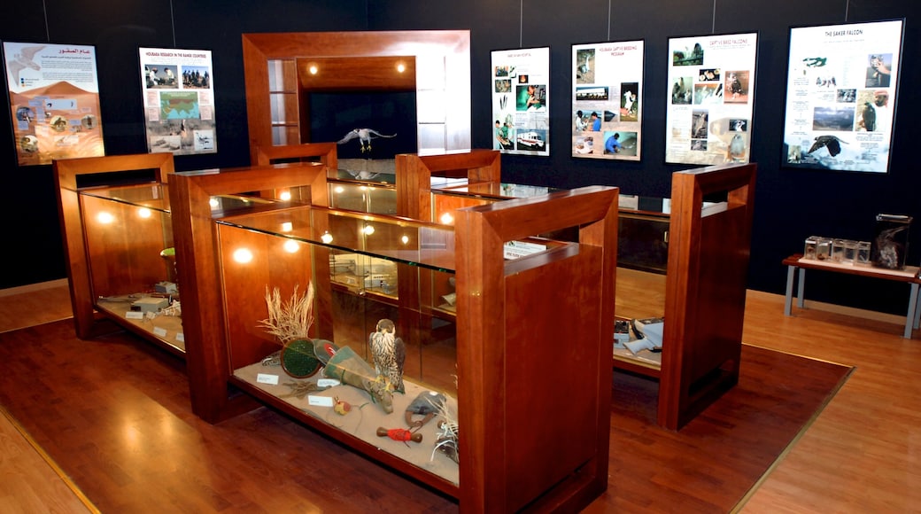 Emirado de Abu Dhabi que inclui vistas internas