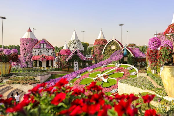 Dubai Miracle Garden is a flower garden with a wide variety of flowers. United Arab Emirates Dubai March 2019