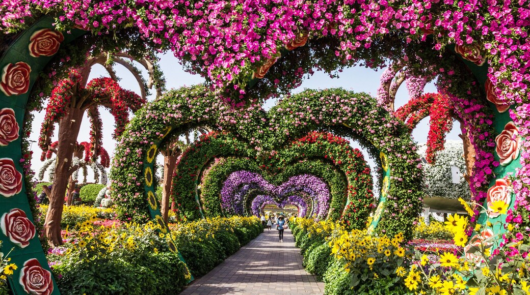Dubai, UAE: Flower hearts in Miracle Garden in Dubai