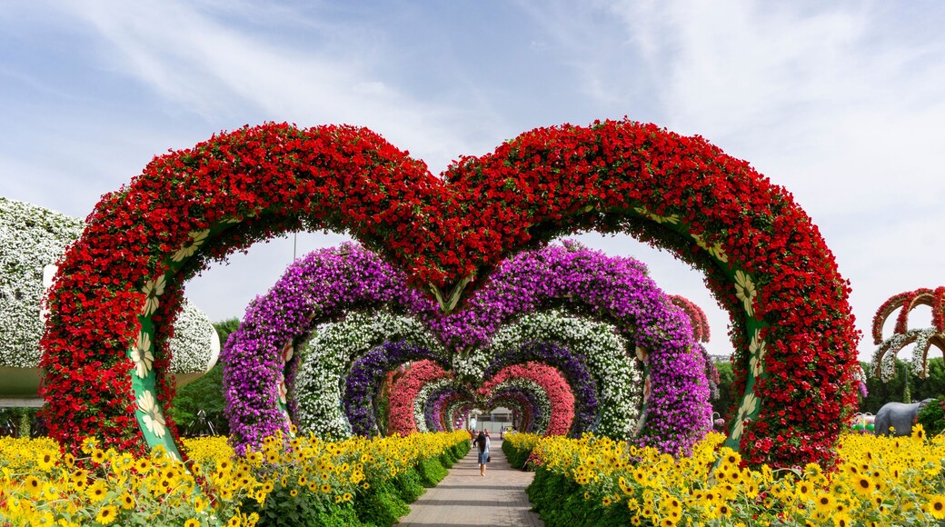 Dubai,UAE / 11. 06. 2018 : Colorful heart shaped flowers alley in Dubai Miracle Garden