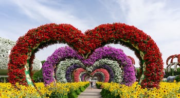 Dubai,UAE / 11. 06. 2018 : Colorful heart shaped flowers alley in Dubai Miracle Garden