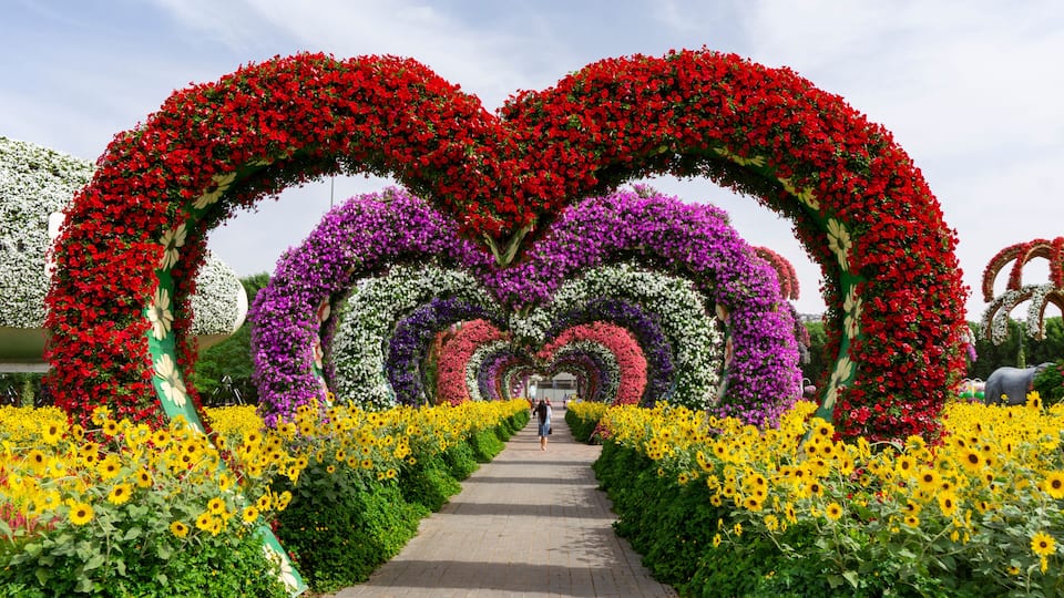 Um caminho ladeado por arcos de flores em formato de coração e girassóis.