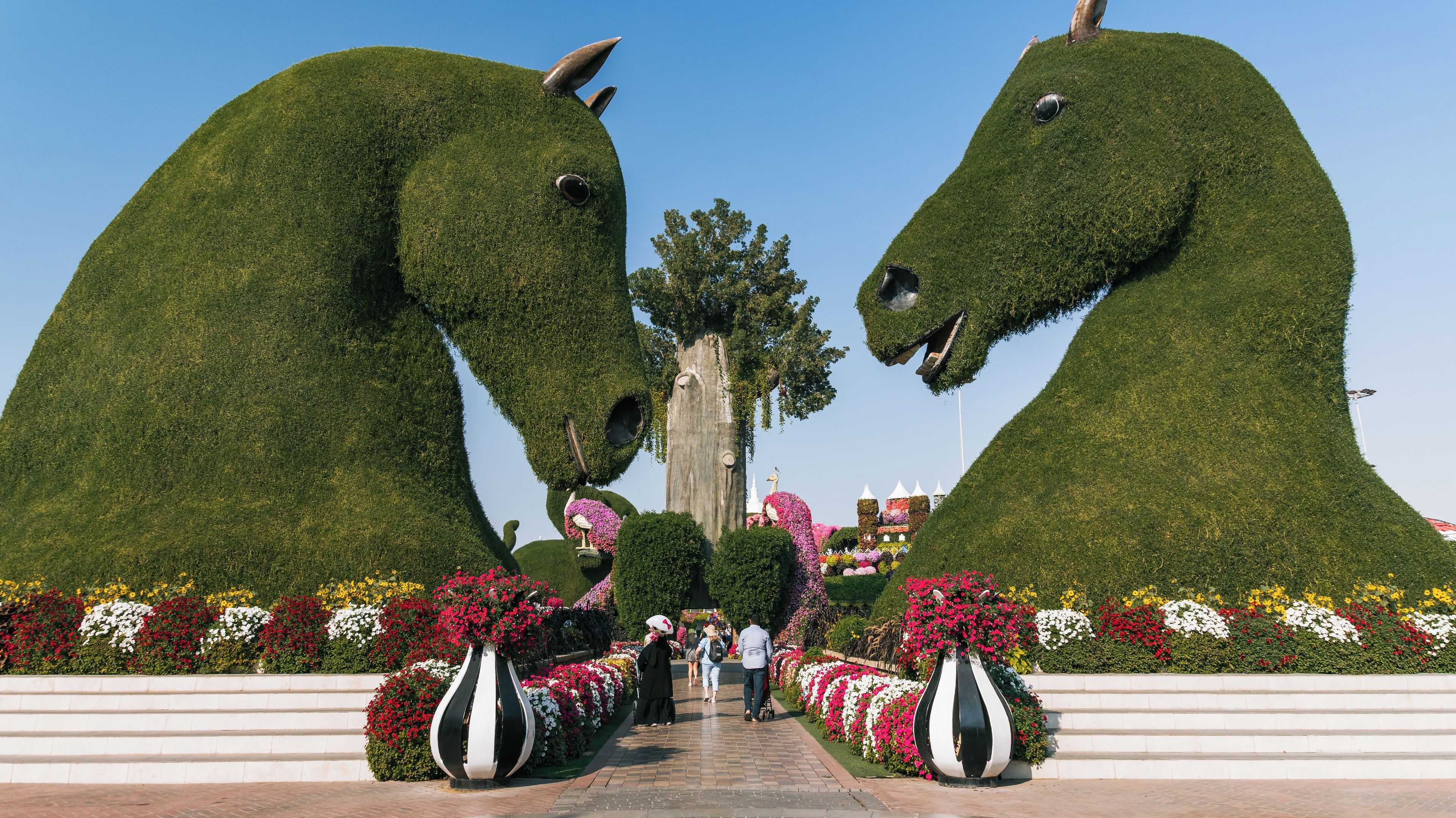 Jardín Milagroso de Dubái