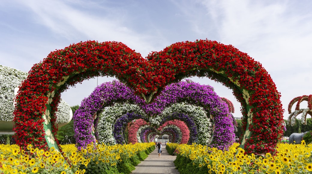 Dubai,UAE / 11. 06. 2018 : Colorful heart shaped flowers alley in Dubai Miracle Garden
