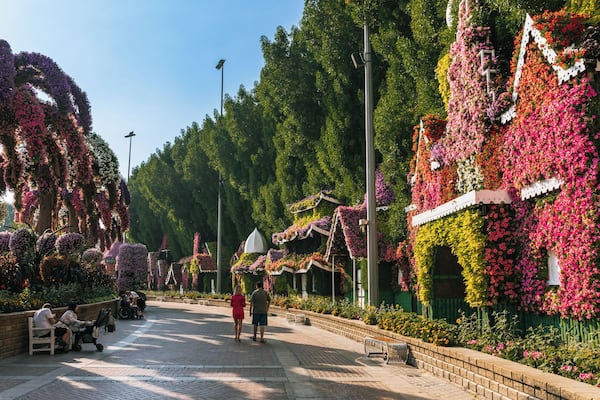 Un jardin agrémenté de compositions florales et doté d’un sentier.