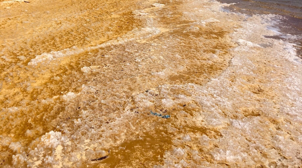 Salty shores. Flip flops essential! #lifeatexpedia #israel #deadsea #your2016!
#beachbound