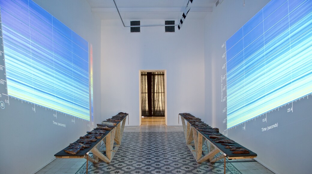 Darat al Funun showing interior views