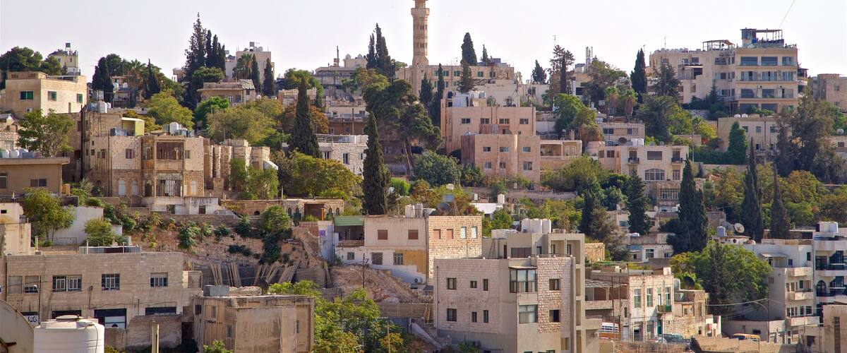Darat al Funun showing a city and landscape views