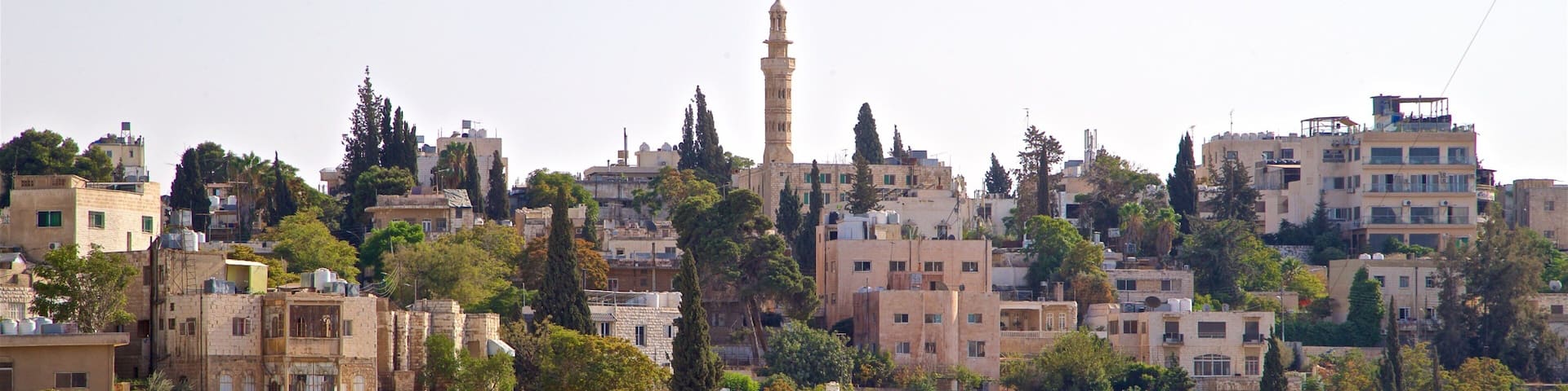 Darat al Funun showing a city and landscape views