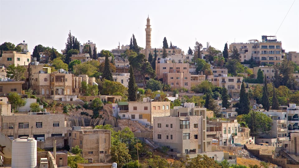 Darat al Funun showing a city and landscape views