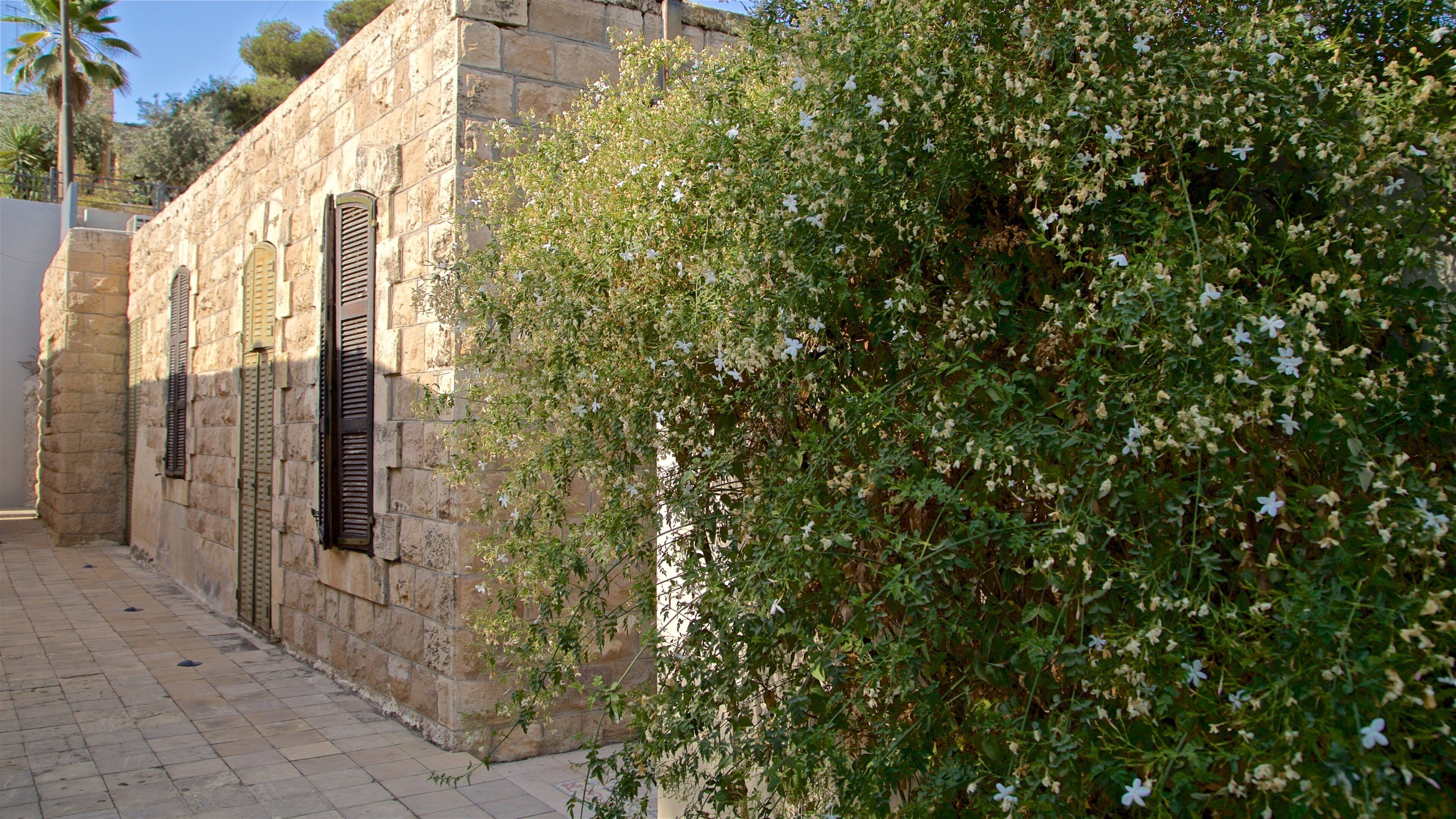 Darat al Funun which includes wildflowers