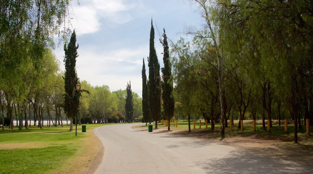 Mexico fasiliteter samt park