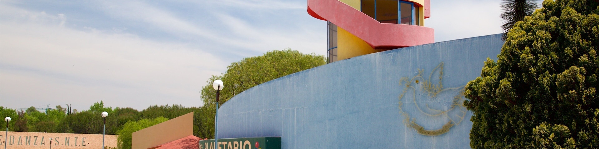 San Luis Potosí caracterizando uma praça ou plaza e flores