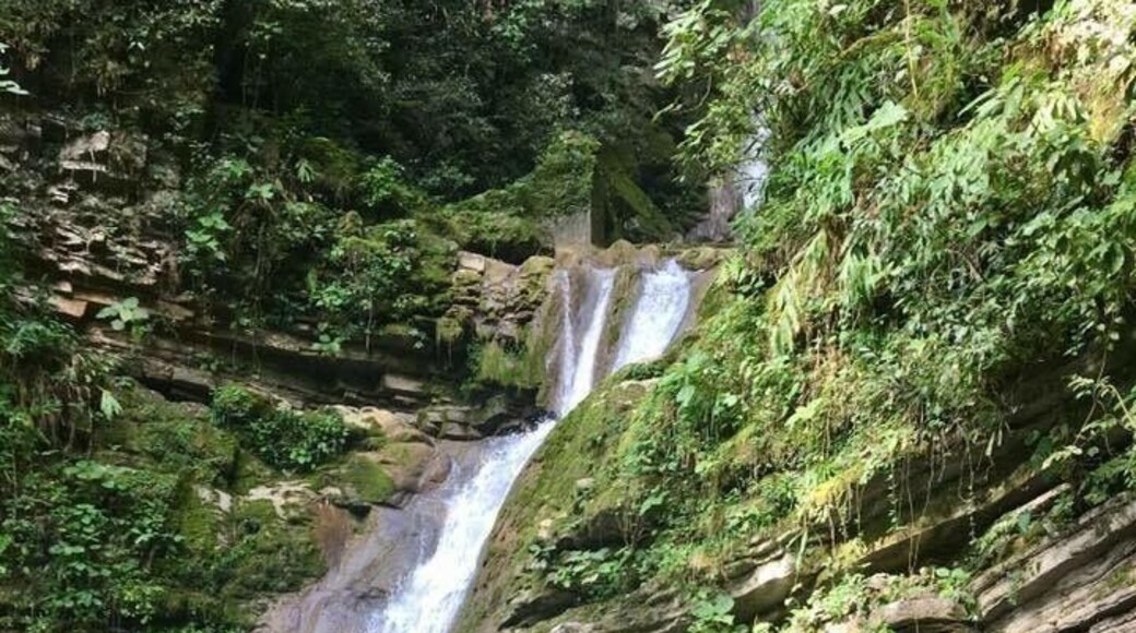 A waterfall at Rancho La Conchita where Edward James created his garden The Surreal Gardens of Las Pozas