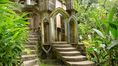 Las Pozas in Xilitla Mexico