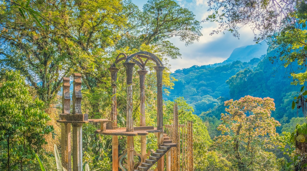 Xilitla Jungle and amazing hidden castle at Huasteca Potosina in San Luis Potosi, Mexico