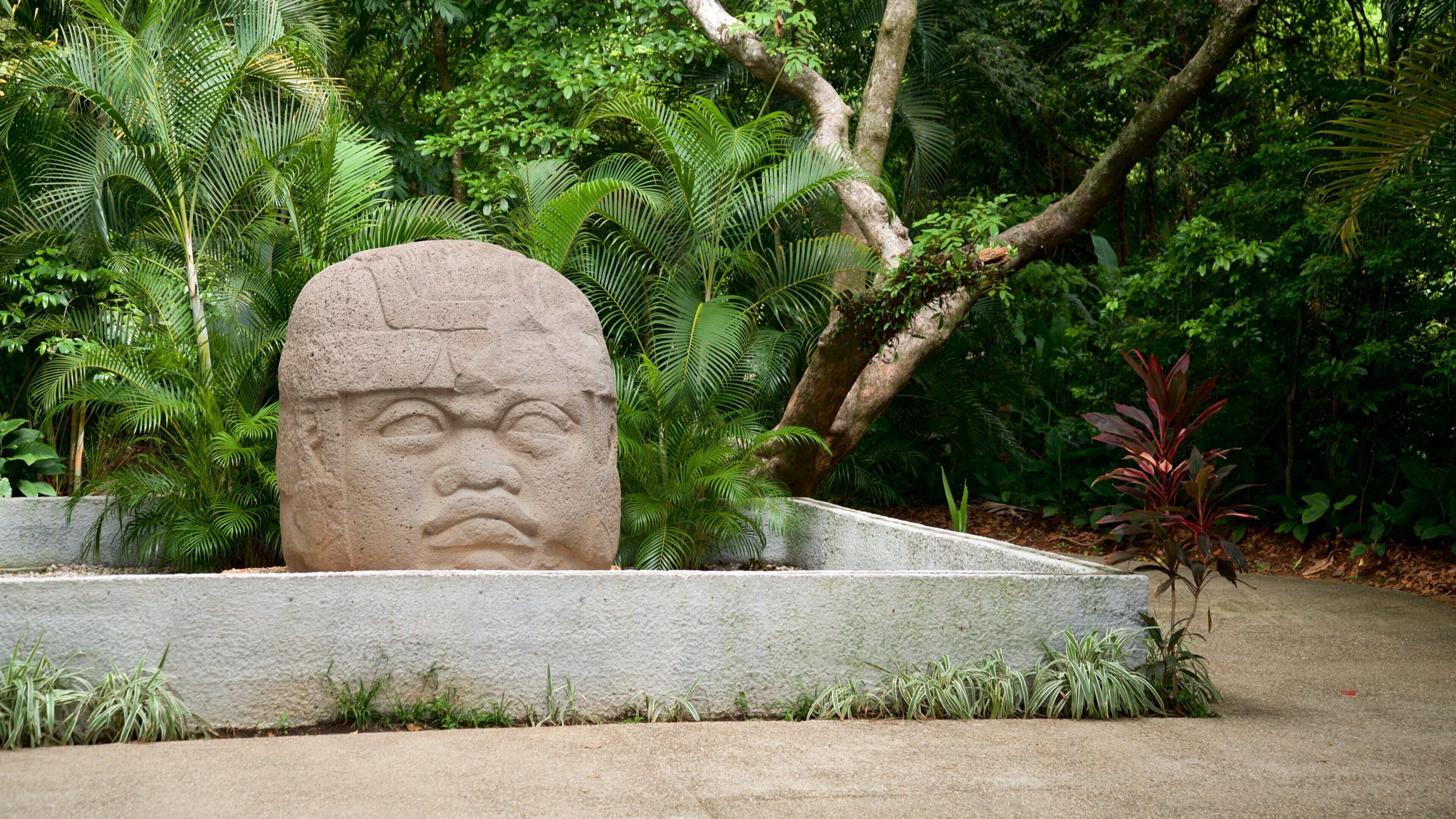 La Venta Museum-Park showing outdoor art and a garden