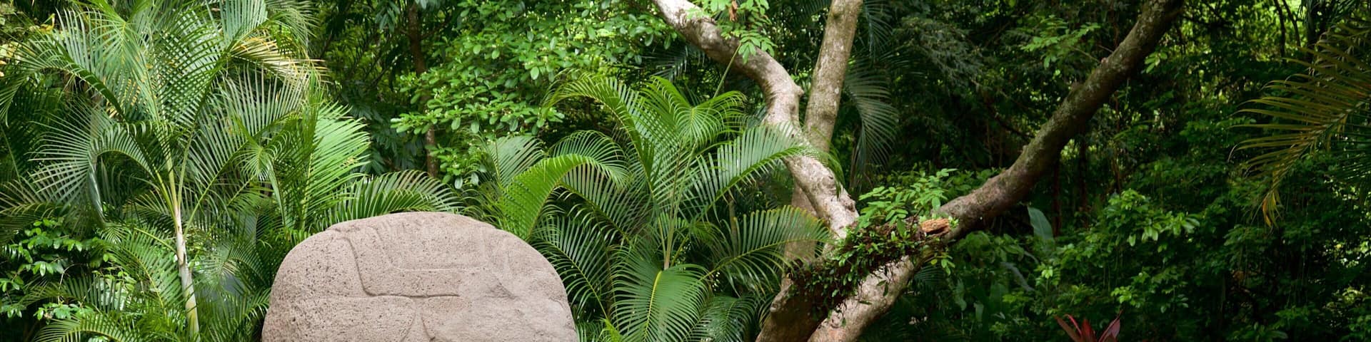 La Venta Museum-Park showing outdoor art and a garden