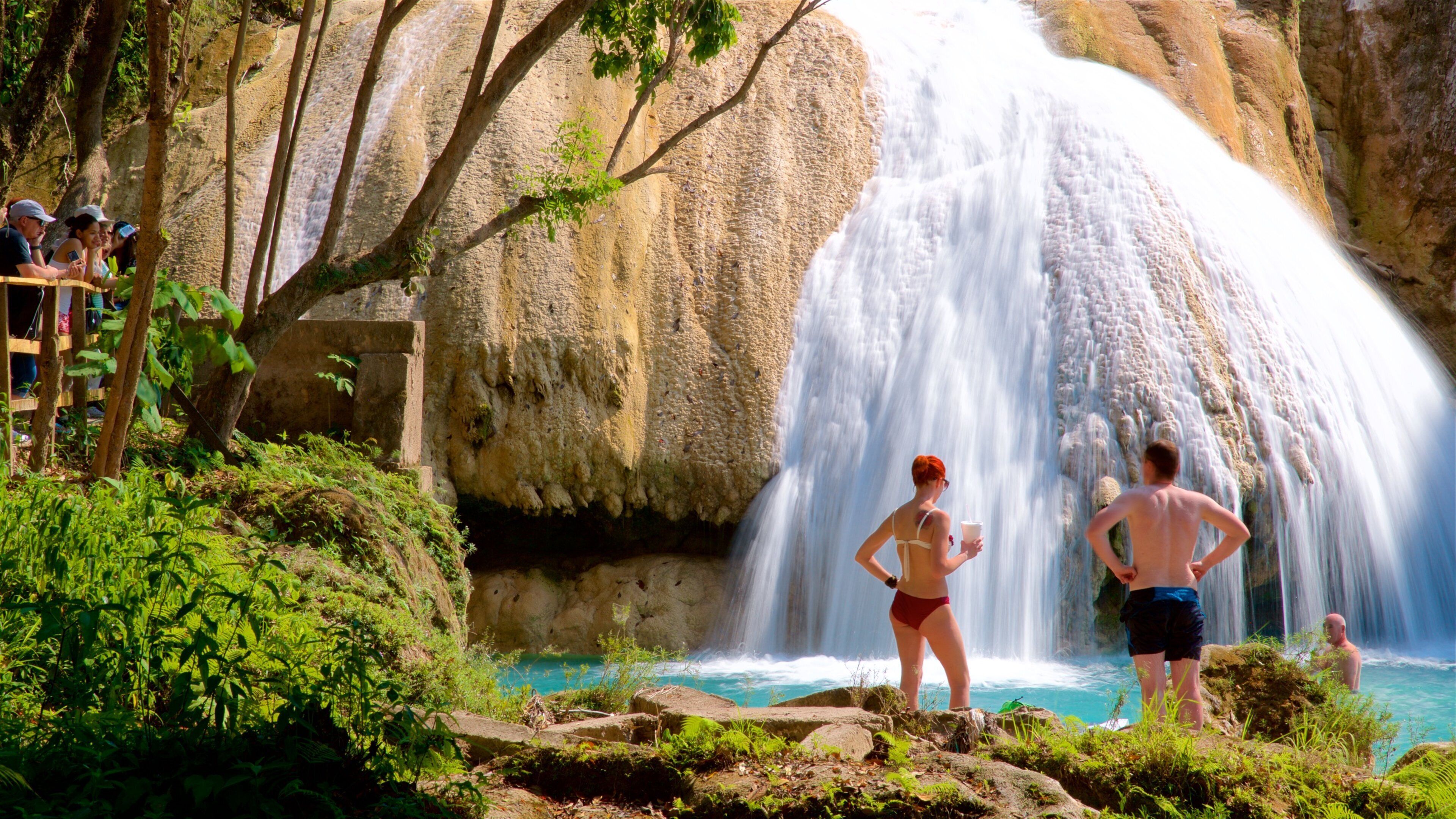 A waterfall cascading into a turquoise pool surrounded by lush greenery and rocky cliffs.