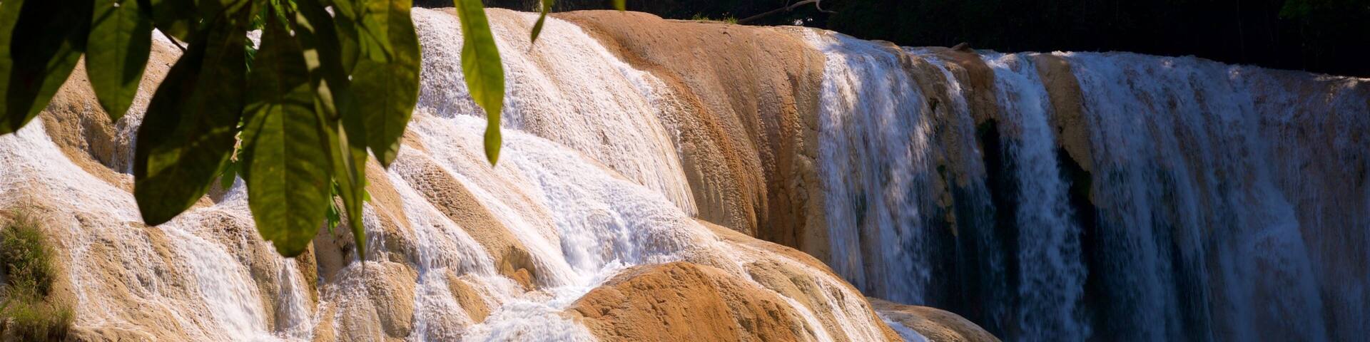 Cascadas de Agua Azul featuring a river or creek and a waterfall