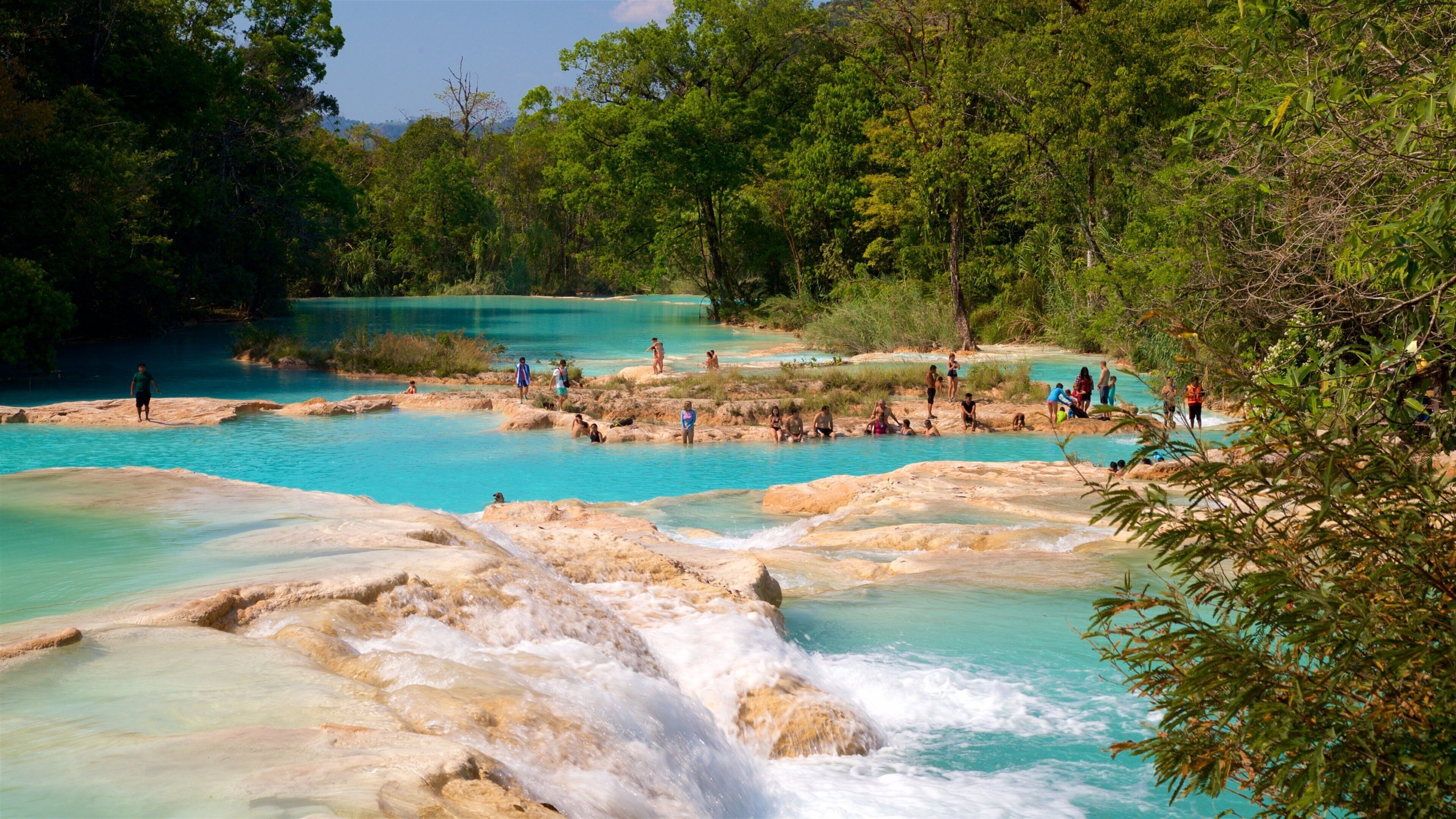 Cascadas de Agua Azul 设有 河流或小溪 以及 小群人