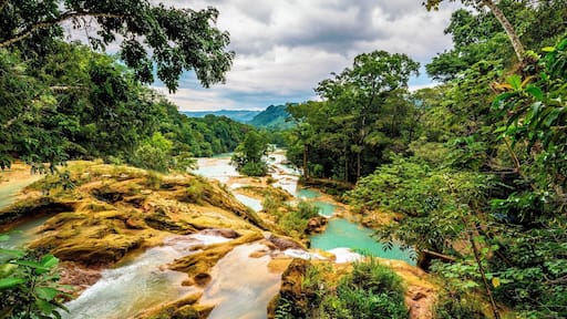 Agua Azul Warerfalls.
#GreatOutdoors