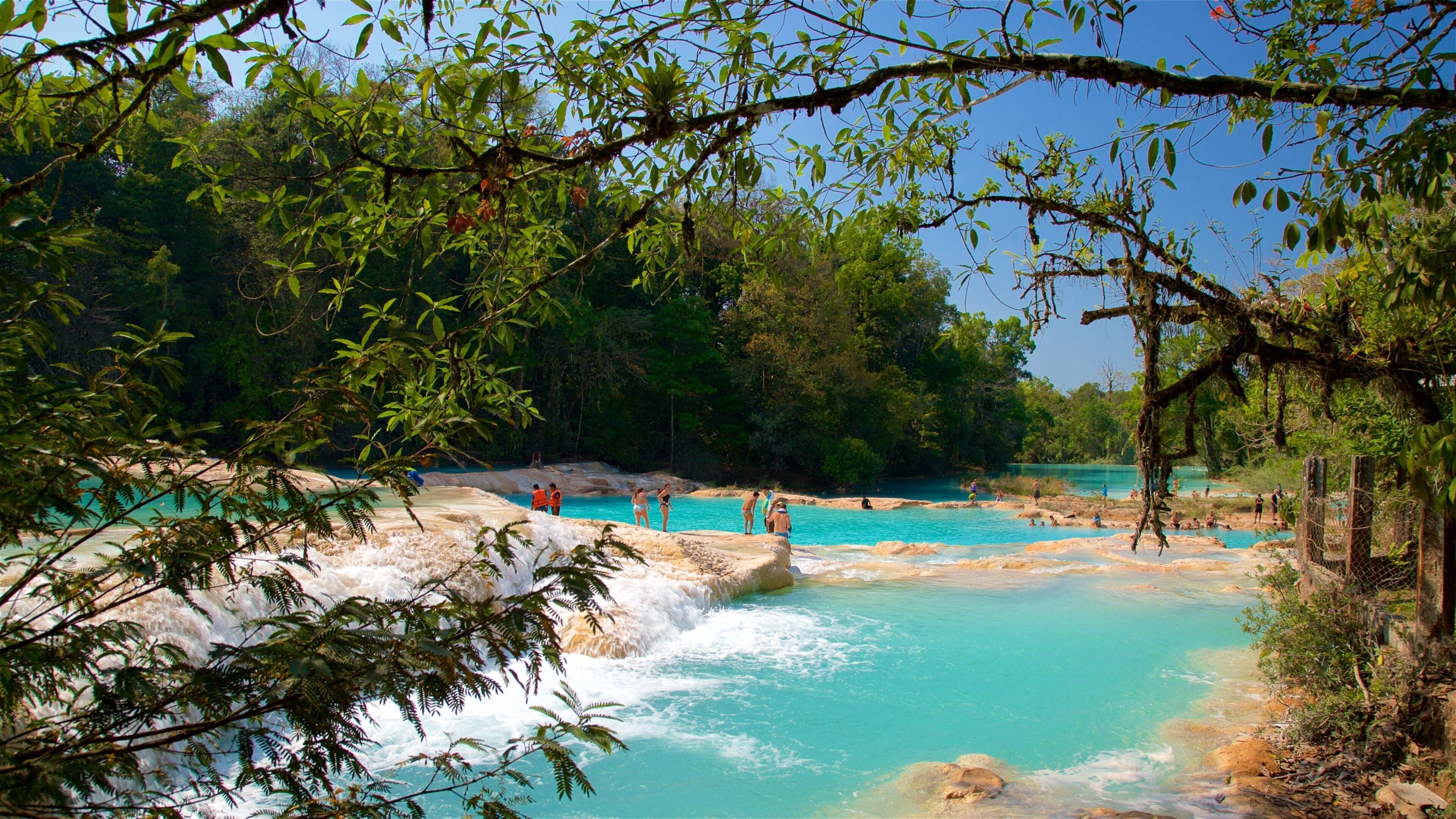 Top rated places to stay in Palenque for families
