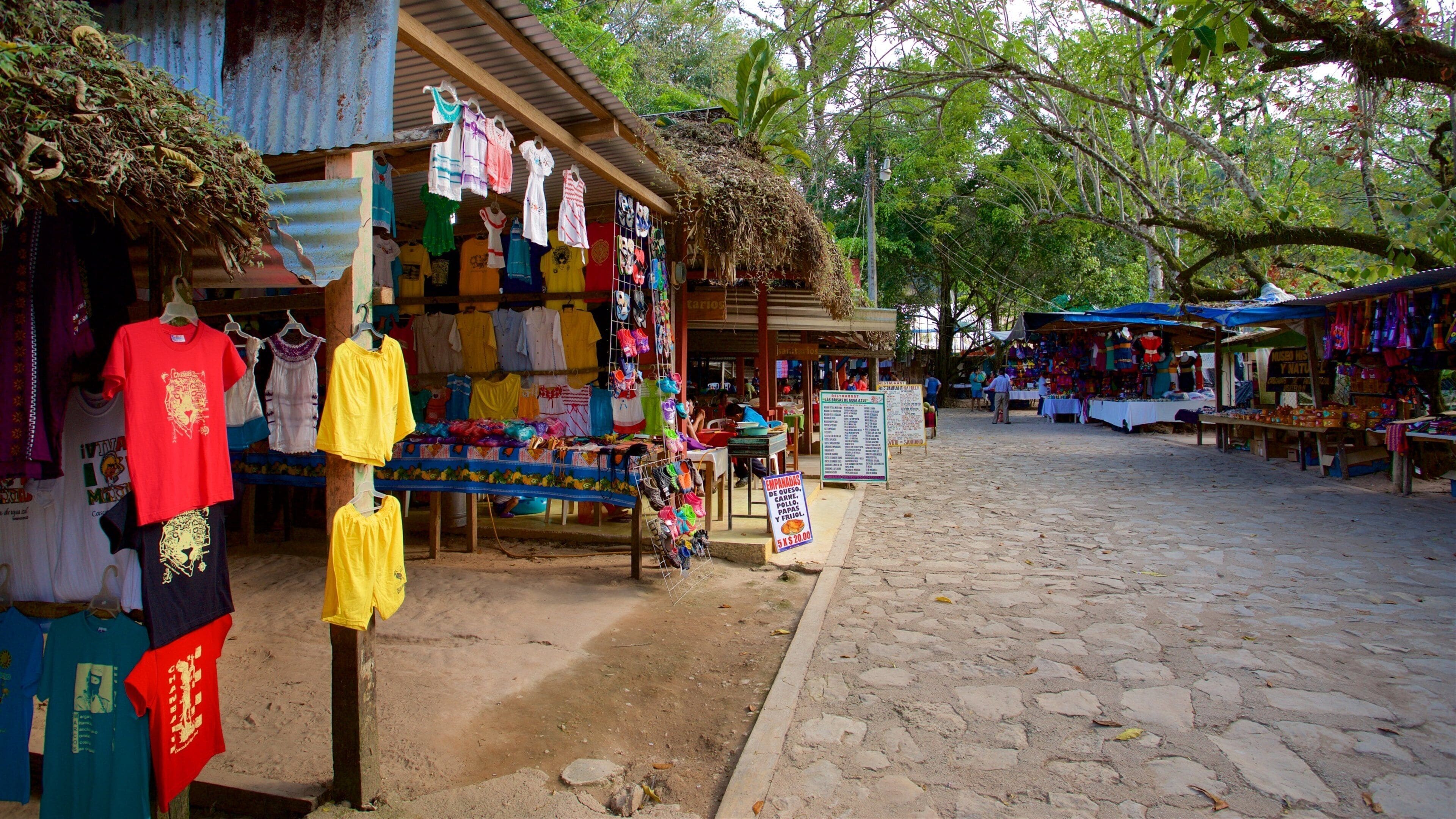 Cascadas de Agua Azul 呈现出 市集